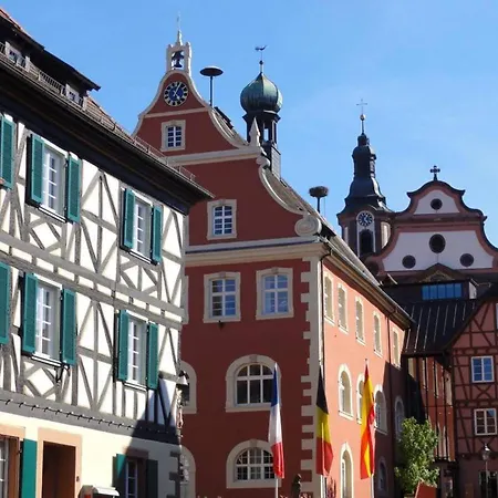 Perfekt Fuer Familien Und Gruppen Nur 10Min Vom Europapark - W6 Apartment Ettenheim Exterior photo