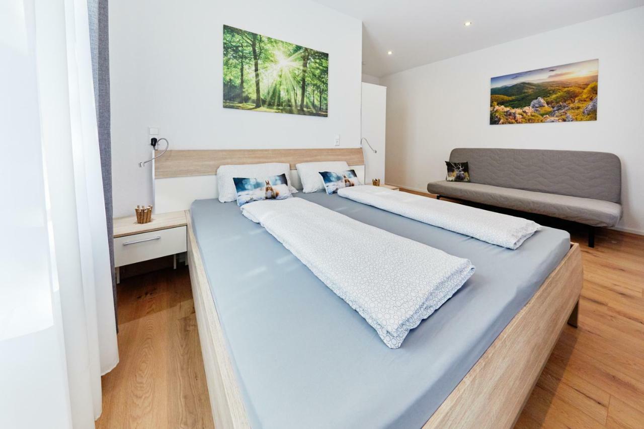 Apartment Perfekt Fuer Familien Und Gruppen Nur 10min Vom Europapark - W6 Ettenheim