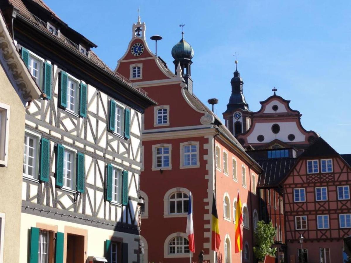 Apartment Perfekt Fuer Familien Und Gruppen Nur 10min Vom Europapark - W6